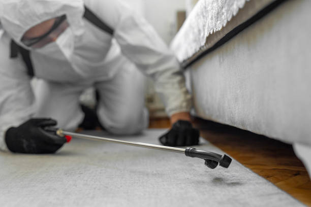 Professional Termite Control technician working in Columbus, IN
