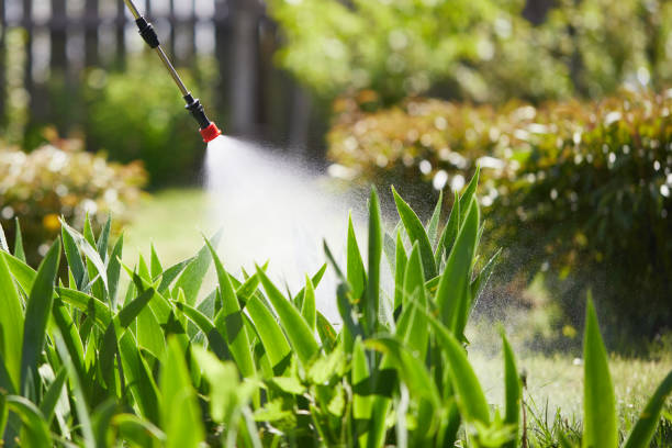 24/7 Emergency Termite Control experts in Columbus, IN