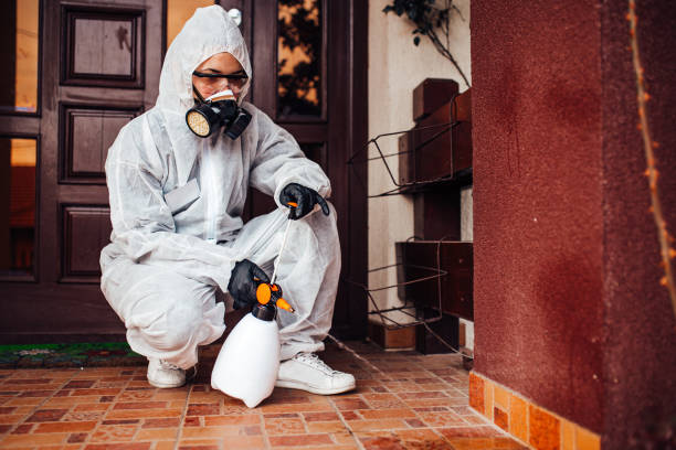 Reliable Termite Control contractor in Columbus, IN by Nex Pest Control