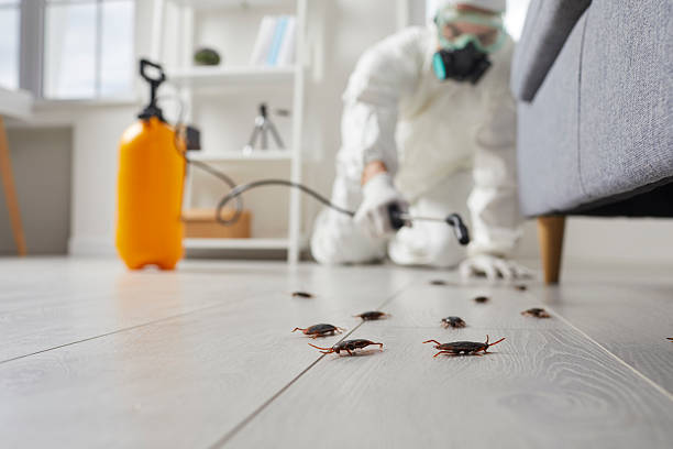 Affordable Termite Control solutions in Columbus, IN